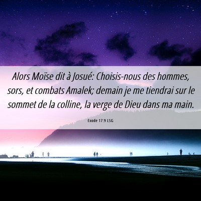 Picture 06 - Exode 17:9 LSG - Alors Moïse dit à Josué: Choisis-nous des - Bible Verse Picture