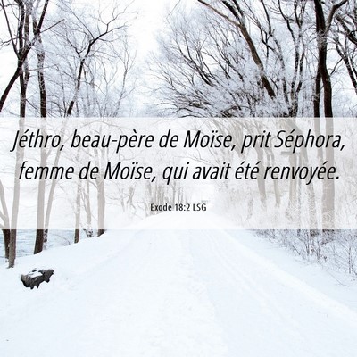 Picture 06 - Exode 18:2 LSG - Jéthro, beau-père de Moïse, prit Séphora, - Bible Verse Picture