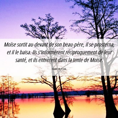 Picture 06 - Exode 18:7 LSG - Moïse sortit au-devant de son beau-père, il se - Bible Verse Picture