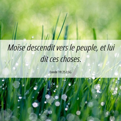 Picture 06 - Exode 19:25 LSG - Moïse descendit vers le peuple, et lui dit ces - Bible Verse Picture