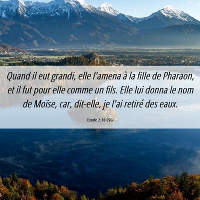 Picture 06 - Exode 2:10 LSG - Quand il eut grandi, elle l'amena à la fille de - Bible Verse Picture