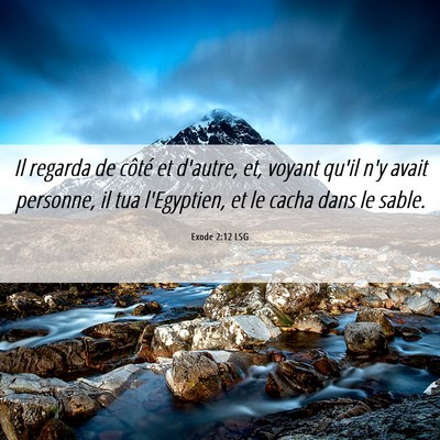 Picture 06 - Exode 2:12 LSG - Il regarda de côté et d'autre, et, voyant qu'il - Bible Verse Picture