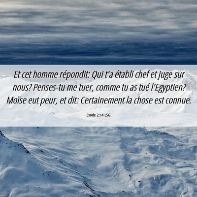 Picture 06 - Exode 2:14 LSG - Et cet homme répondit: Qui t'a établi chef et - Bible Verse Picture