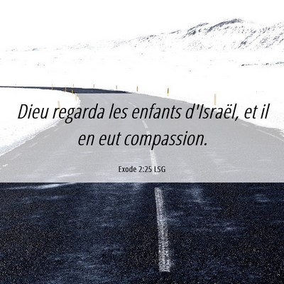 Picture 06 - Exode 2:25 LSG - Dieu regarda les enfants d'Israël, et il en eut - Bible Verse Picture