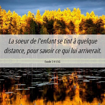 Picture 06 - Exode 2:4 LSG - La soeur de l'enfant se tint à quelque distance, - Bible Verse Picture