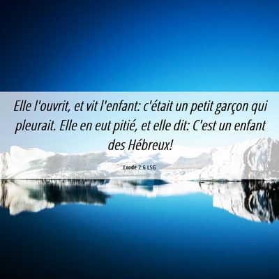Picture 06 - Exode 2:6 LSG - Elle l'ouvrit, et vit l'enfant: c'était un petit - Bible Verse Picture