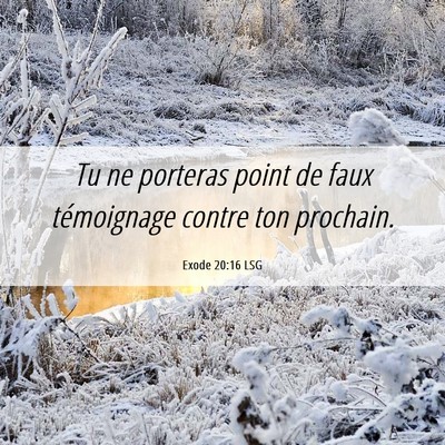 Picture 06 - Exode 20:16 LSG - Tu ne porteras point de faux témoignage contre - Bible Verse Picture