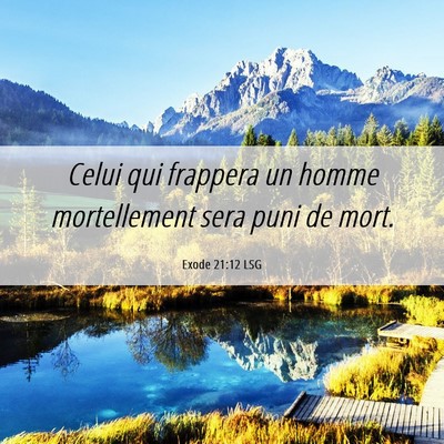 Picture 06 - Exode 21:12 LSG - Celui qui frappera un homme mortellement sera - Bible Verse Picture