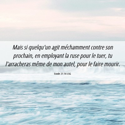 Picture 06 - Exode 21:14 LSG - Mais si quelqu'un agit méchamment contre son - Bible Verse Picture