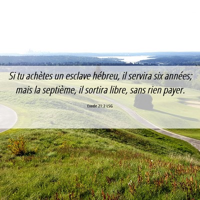 Picture 06 - Exode 21:2 LSG - Si tu achètes un esclave hébreu, il servira six - Bible Verse Picture