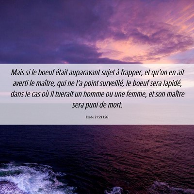 Picture 06 - Exode 21:29 LSG - Mais si le boeuf était auparavant sujet à - Bible Verse Picture
