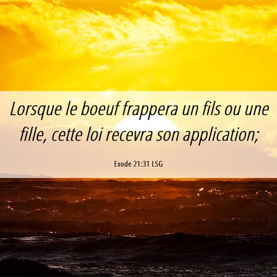Picture 06 - Exode 21:31 LSG - Lorsque le boeuf frappera un fils ou une fille, - Bible Verse Picture