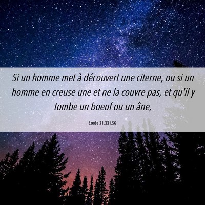 Picture 06 - Exode 21:33 LSG - Si un homme met à découvert une citerne, ou si - Bible Verse Picture