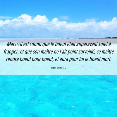 Picture 06 - Exode 21:36 LSG - Mais s'il est connu que le boeuf était - Bible Verse Picture