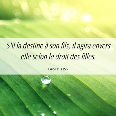 Picture 06 - Exode 21:9 LSG - S'il la destine à son fils, il agira envers elle - Bible Verse Picture
