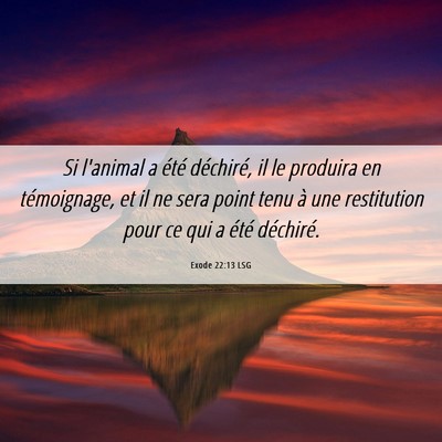 Picture 06 - Exode 22:13 LSG - Si l'animal a été déchiré, il le produira en - Bible Verse Picture