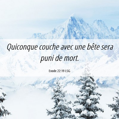 Picture 06 - Exode 22:19 LSG - Quiconque couche avec une bête sera puni de - Bible Verse Picture