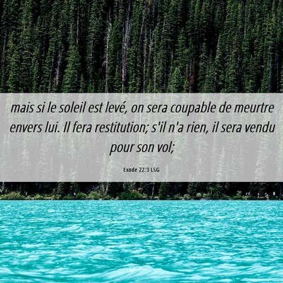 Picture 06 - Exode 22:3 LSG - mais si le soleil est levé, on sera coupable de - Bible Verse Picture