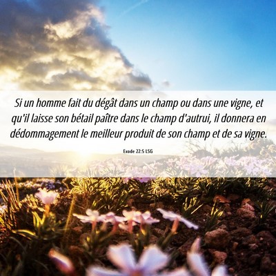 Picture 06 - Exode 22:5 LSG - Si un homme fait du dégât dans un champ ou dans - Bible Verse Picture