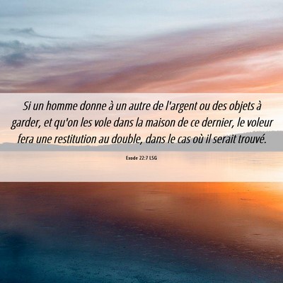 Picture 06 - Exode 22:7 LSG - Si un homme donne à un autre de l'argent ou des - Bible Verse Picture