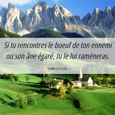 Picture 06 - Exode 23:4 LSG - Si tu rencontres le boeuf de ton ennemi ou son - Bible Verse Picture