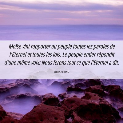 Picture 06 - Exode 24:3 LSG - Moïse vint rapporter au peuple toutes les - Bible Verse Picture