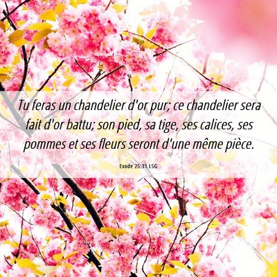 Picture 06 - Exode 25:31 LSG - Tu feras un chandelier d'or pur; ce chandelier - Bible Verse Picture