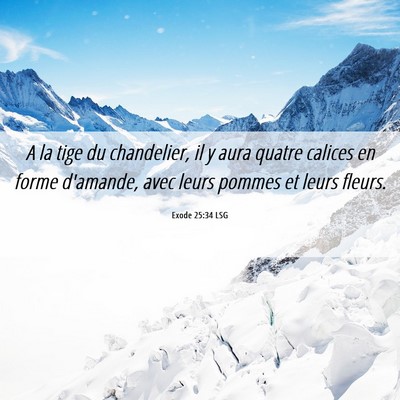 Picture 06 - Exode 25:34 LSG - A la tige du chandelier, il y aura quatre calices - Bible Verse Picture