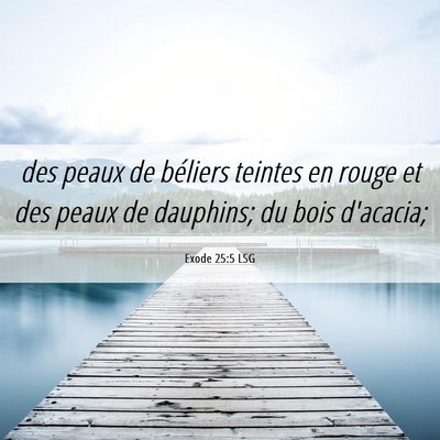 Picture 06 - Exode 25:5 LSG - des peaux de béliers teintes en rouge et des - Bible Verse Picture