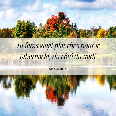 Picture 06 - Exode 26:18 LSG - Tu feras vingt planches pour le tabernacle, du - Bible Verse Picture