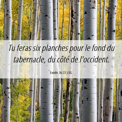Picture 06 - Exode 26:22 LSG - Tu feras six planches pour le fond du tabernacle, - Bible Verse Picture