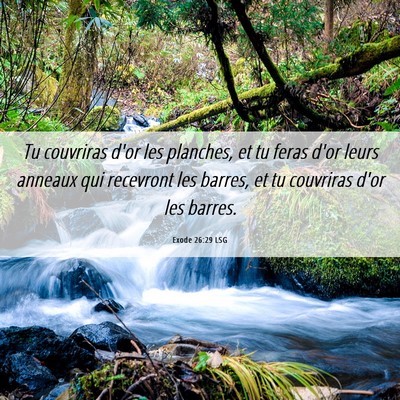 Picture 06 - Exode 26:29 LSG - Tu couvriras d'or les planches, et tu feras d'or - Bible Verse Picture