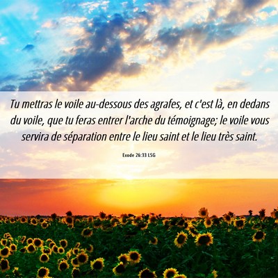 Picture 06 - Exode 26:33 LSG - Tu mettras le voile au-dessous des agrafes, et - Bible Verse Picture