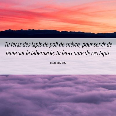 Picture 06 - Exode 26:7 LSG - Tu feras des tapis de poil de chèvre, pour - Bible Verse Picture