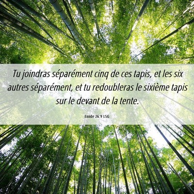 Picture 06 - Exode 26:9 LSG - Tu joindras séparément cinq de ces tapis, et - Bible Verse Picture