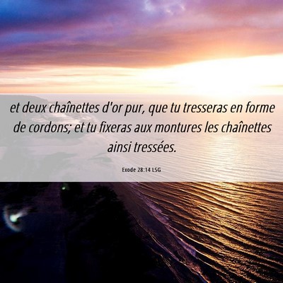 Picture 06 - Exode 28:14 LSG - et deux chaînettes d'or pur, que tu tresseras en - Bible Verse Picture