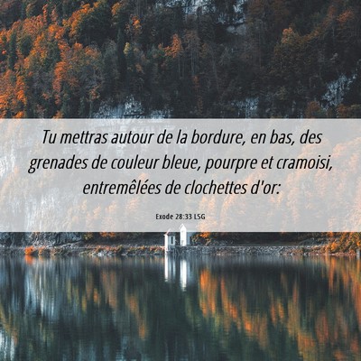 Picture 06 - Exode 28:33 LSG - Tu mettras autour de la bordure, en bas, des - Bible Verse Picture