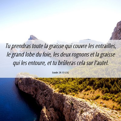 Picture 06 - Exode 29:13 LSG - Tu prendras toute la graisse qui couvre les - Bible Verse Picture