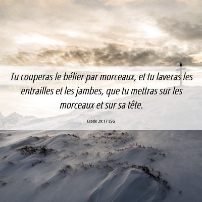 Picture 06 - Exode 29:17 LSG - Tu couperas le bélier par morceaux, et tu - Bible Verse Picture