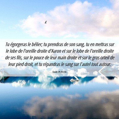 Picture 06 - Exode 29:20 LSG - Tu égorgeras le bélier; tu prendras de son - Bible Verse Picture