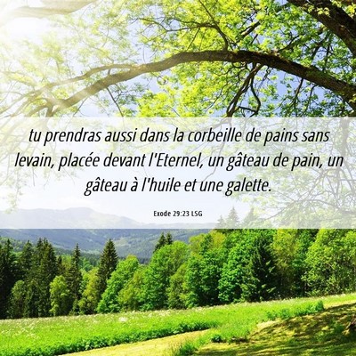 Picture 06 - Exode 29:23 LSG - tu prendras aussi dans la corbeille de pains sans - Bible Verse Picture