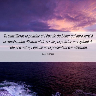 Picture 06 - Exode 29:27 LSG - Tu sanctifieras la poitrine et l'épaule du - Bible Verse Picture