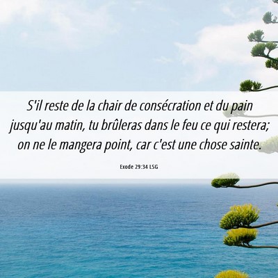 Picture 06 - Exode 29:34 LSG - S'il reste de la chair de consécration et du - Bible Verse Picture