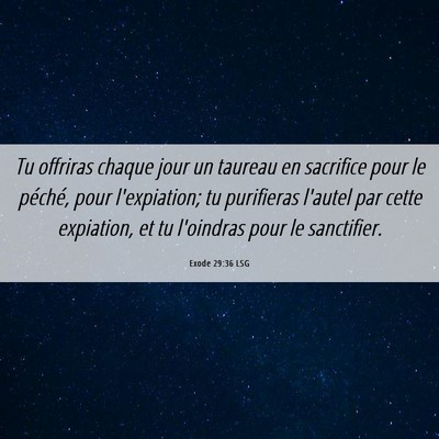 Picture 06 - Exode 29:36 LSG - Tu offriras chaque jour un taureau en sacrifice - Bible Verse Picture