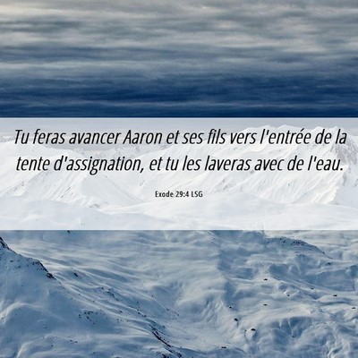 Picture 06 - Exode 29:4 LSG - Tu feras avancer Aaron et ses fils vers l'entrée - Bible Verse Picture