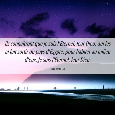Picture 06 - Exode 29:46 LSG - Ils connaîtront que je suis l'Eternel, leur - Bible Verse Picture