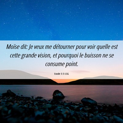 Picture 06 - Exode 3:3 LSG - Moïse dit: Je veux me détourner pour voir - Bible Verse Picture