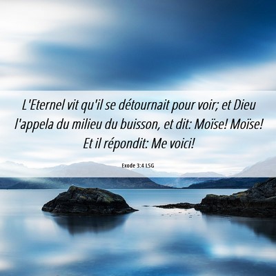 Picture 06 - Exode 3:4 LSG - L'Eternel vit qu'il se détournait pour voir; et - Bible Verse Picture