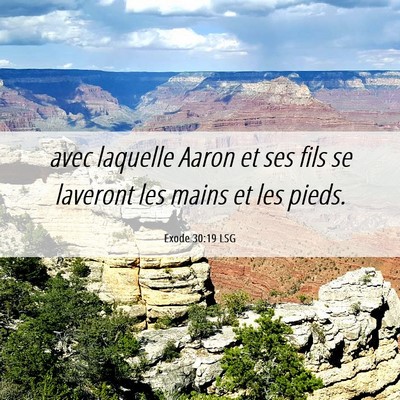 Picture 06 - Exode 30:19 LSG - avec laquelle Aaron et ses fils se laveront les - Bible Verse Picture