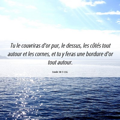Picture 06 - Exode 30:3 LSG - Tu le couvriras d'or pur, le dessus, les côtés - Bible Verse Picture
